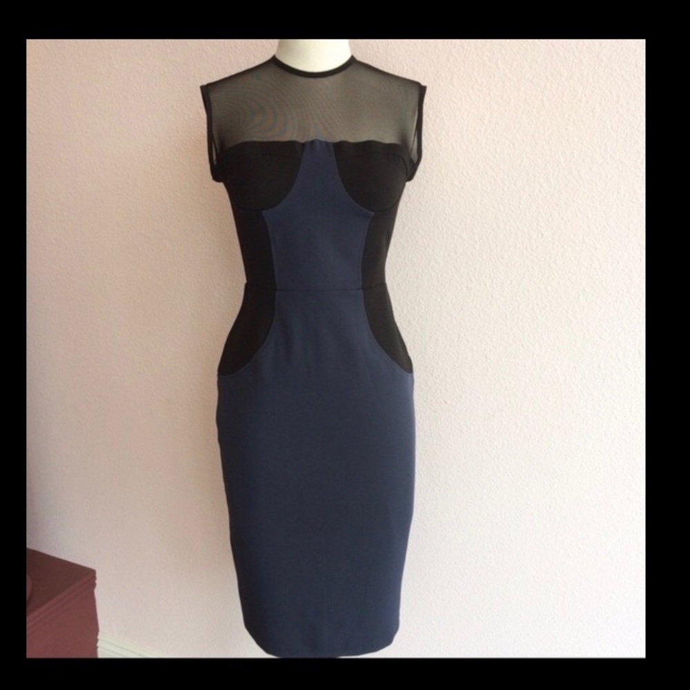 EUC LRK Bodycon Fitted Cocktail Dress